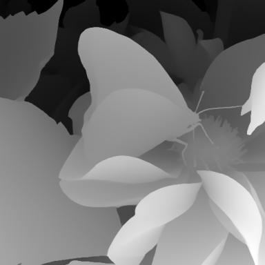 depth_real